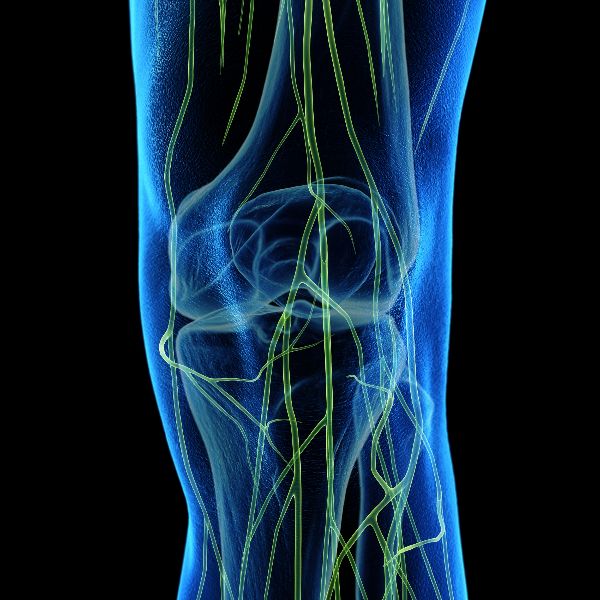 knee_nerves COOLIEF® Treatment Perth